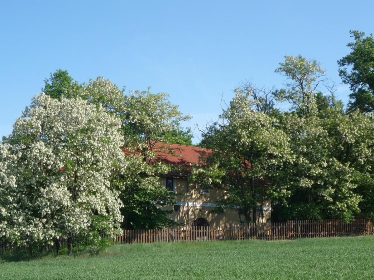 Erdei Vendeghaz Hotel Bogot Exterior photo